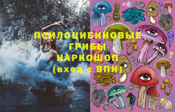 стаф Алзамай