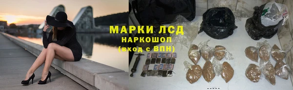 стафф Корсаков