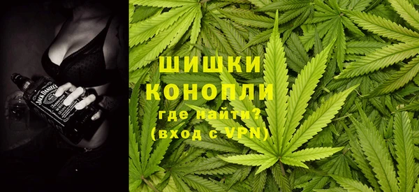 стаф Алзамай