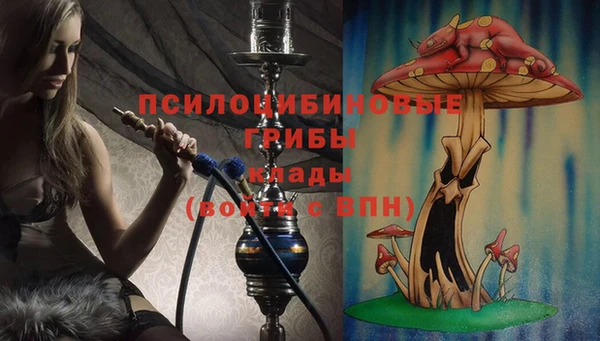стаф Алзамай