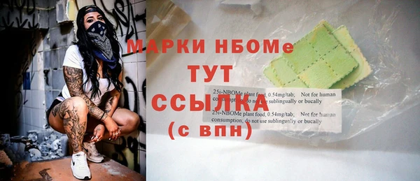 стаф Алзамай