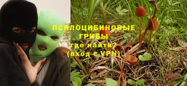 стаф Алзамай